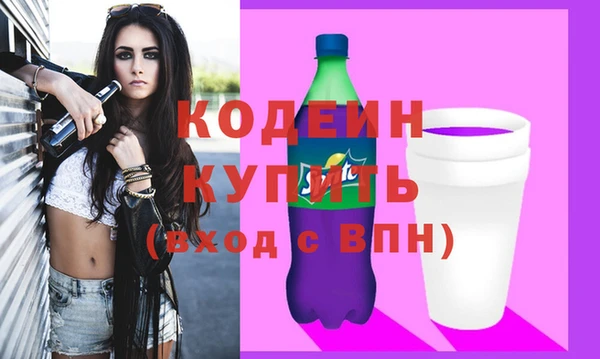 прущий лед Вяземский