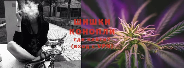 прущий лед Вяземский
