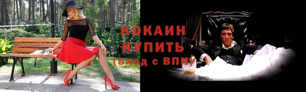 прущий лед Вяземский
