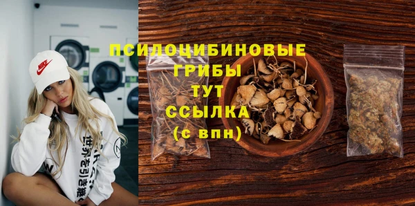 МДПВ Вязьма