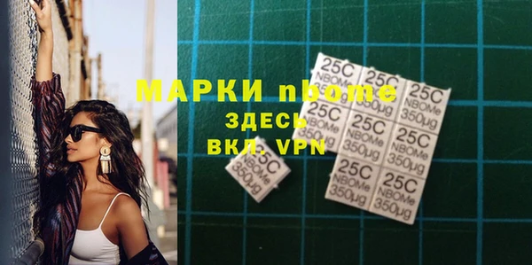 прущий лед Вяземский